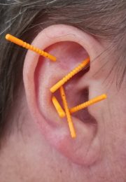 66473716_347392736171026_819946863540043776_n